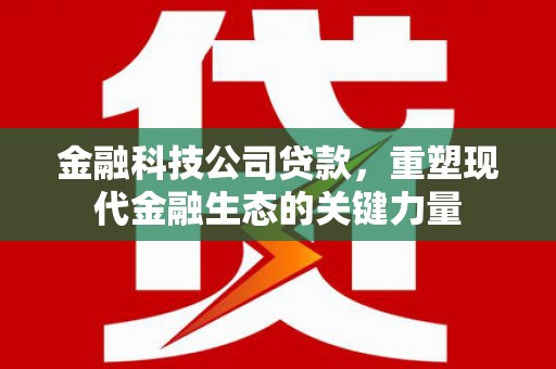 厦门金融科技公司贷款，重塑现代金融生态的关键力量