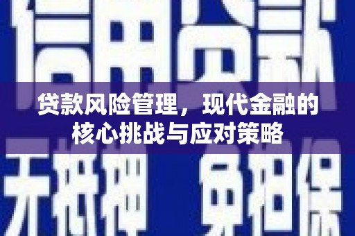 厦门贷款风险管理，现代金融的核心挑战与应对策略