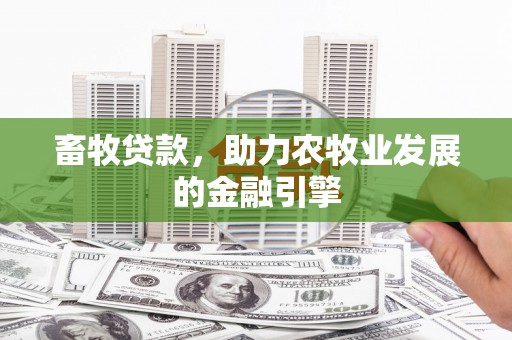 厦门畜牧贷款，助力农牧业发展的金融引擎