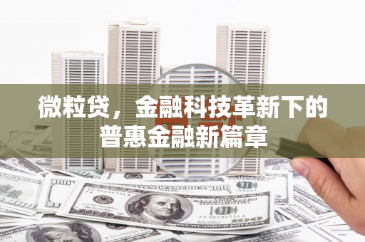 厦门微粒贷，金融科技革新下的普惠金融新篇章