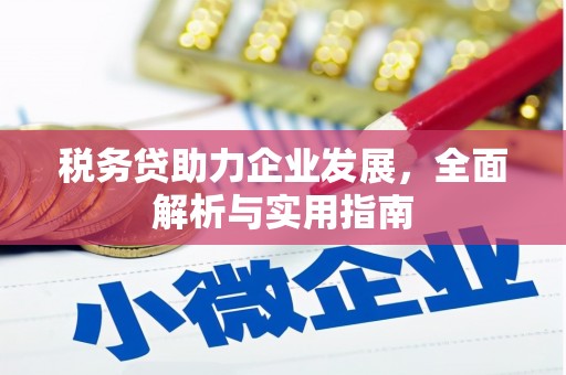 厦门税务贷助力企业发展，全面解析与实用指南