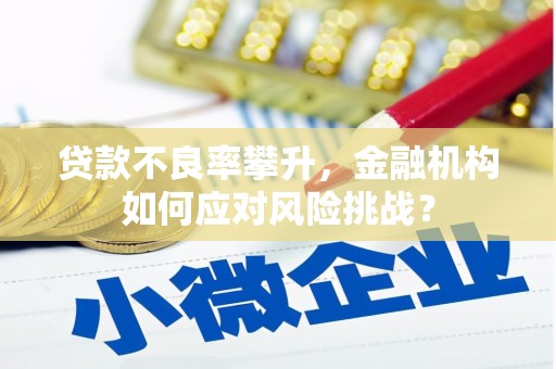 厦门贷款不良率攀升，金融机构如何应对风险挑战？