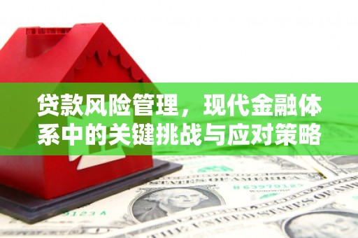 厦门贷款风险管理，现代金融体系中的关键挑战与应对策略