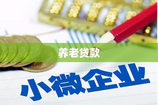 厦门养老贷款