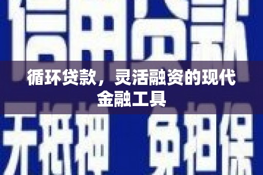 厦门循环贷款，灵活融资的现代金融工具