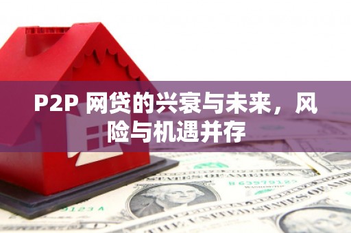厦门P2P 网贷的兴衰与未来，风险与机遇并存