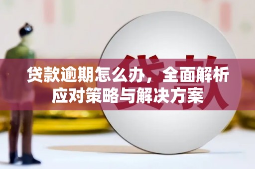 厦门贷款逾期怎么办，全面解析应对策略与解决方案