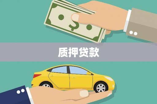厦门质押贷款