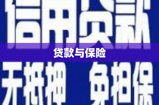 厦门贷款与保险
