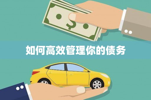 厦门如何高效管理你的债务