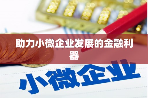 厦门助力小微企业发展的金融利器