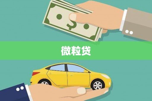 厦门微粒贷