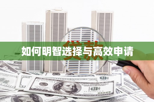 厦门如何明智选择与高效申请