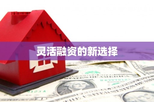 厦门灵活融资的新选择