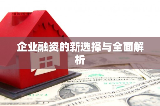 厦门企业融资的新选择与全面解析