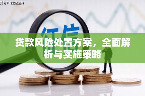 厦门贷款风险处置方案，全面解析与实施策略