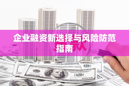 厦门企业融资新选择与风险防范指南