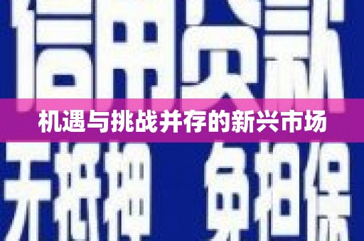 厦门机遇与挑战并存的新兴市场